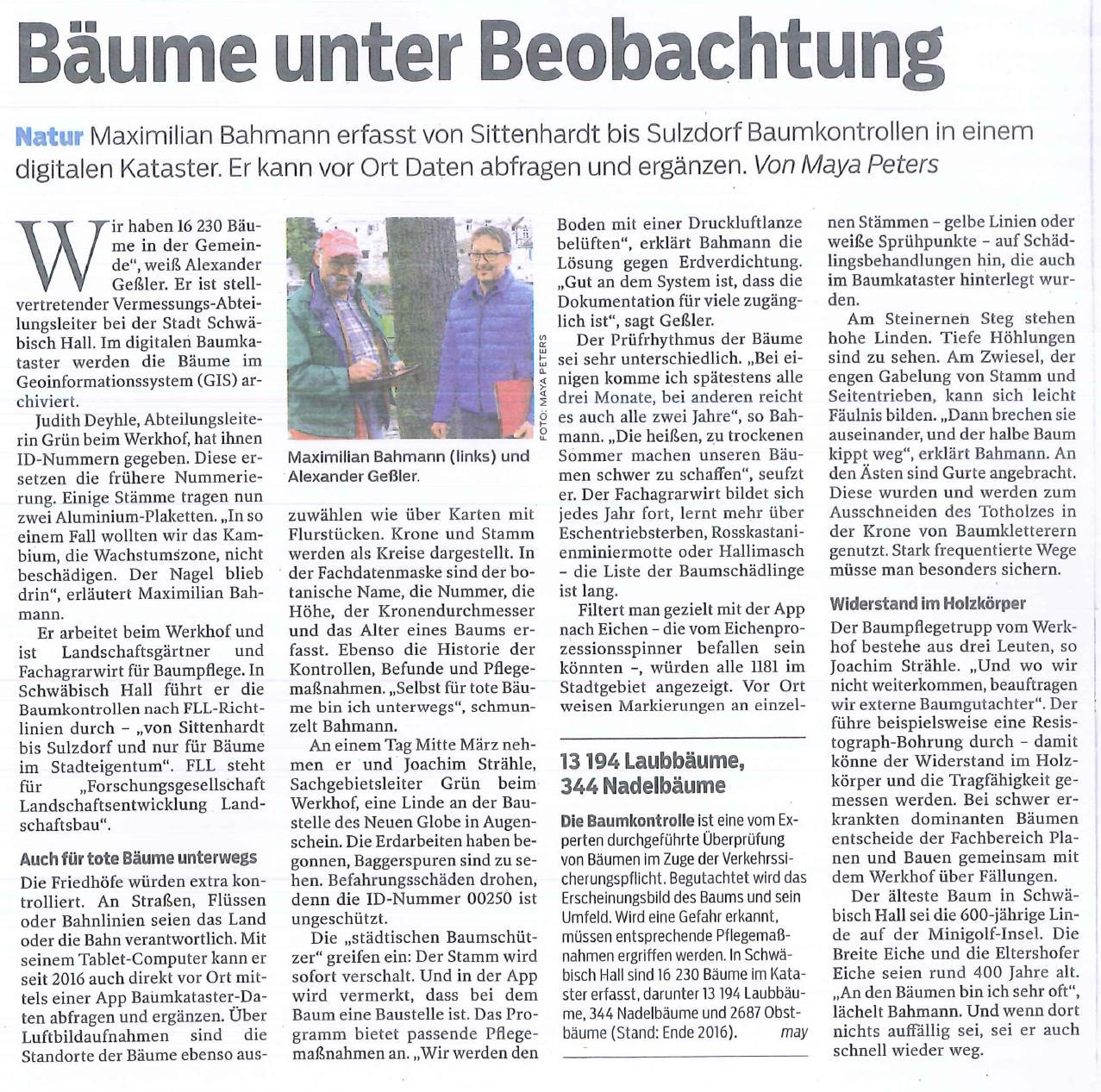 2017-Baeume_unter_Beobachtung B&auml;ume unter Beobachtung
