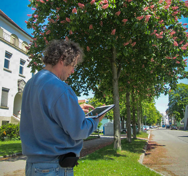 Baumkataster Artikelbild 01