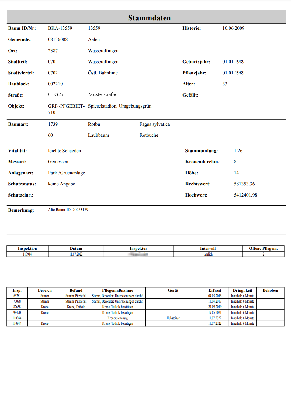 Baumkataster Ausgabe Stammdaten offeneArbeiten UI
