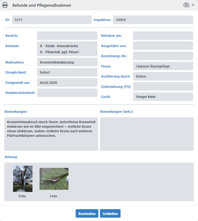 Baumkataster Massnahmen UI