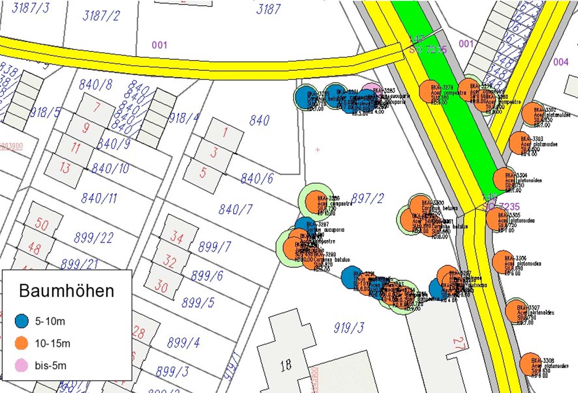 Auswertung der Baumhöhen